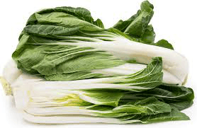 Bok Choy Cabbage