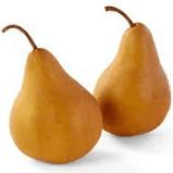 Bosc Pear