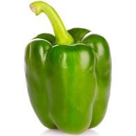 Green Bell Peppers