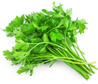 Parsley Bunch