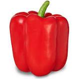 Red Bell Pepper