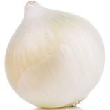 White Onion