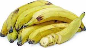 Yellow Plantain