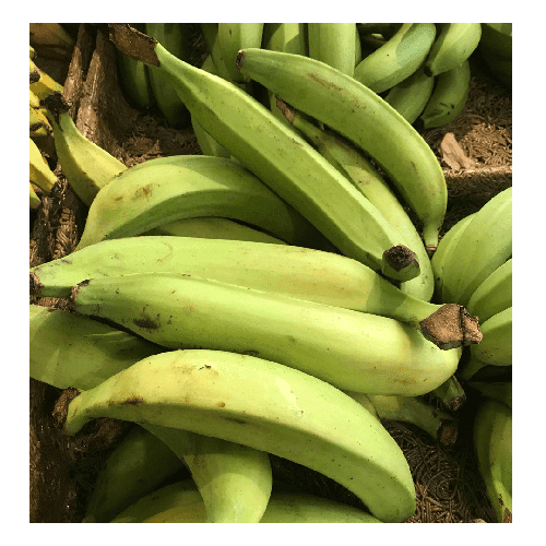 Green Plantain