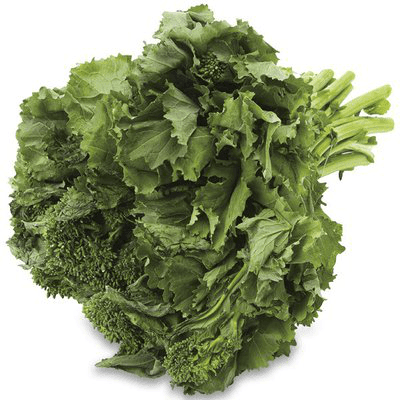 Rapini Broccoli Rabe Bunch