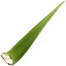 Aloe Vera - Penca de Sábila