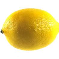 Yellow Lemon