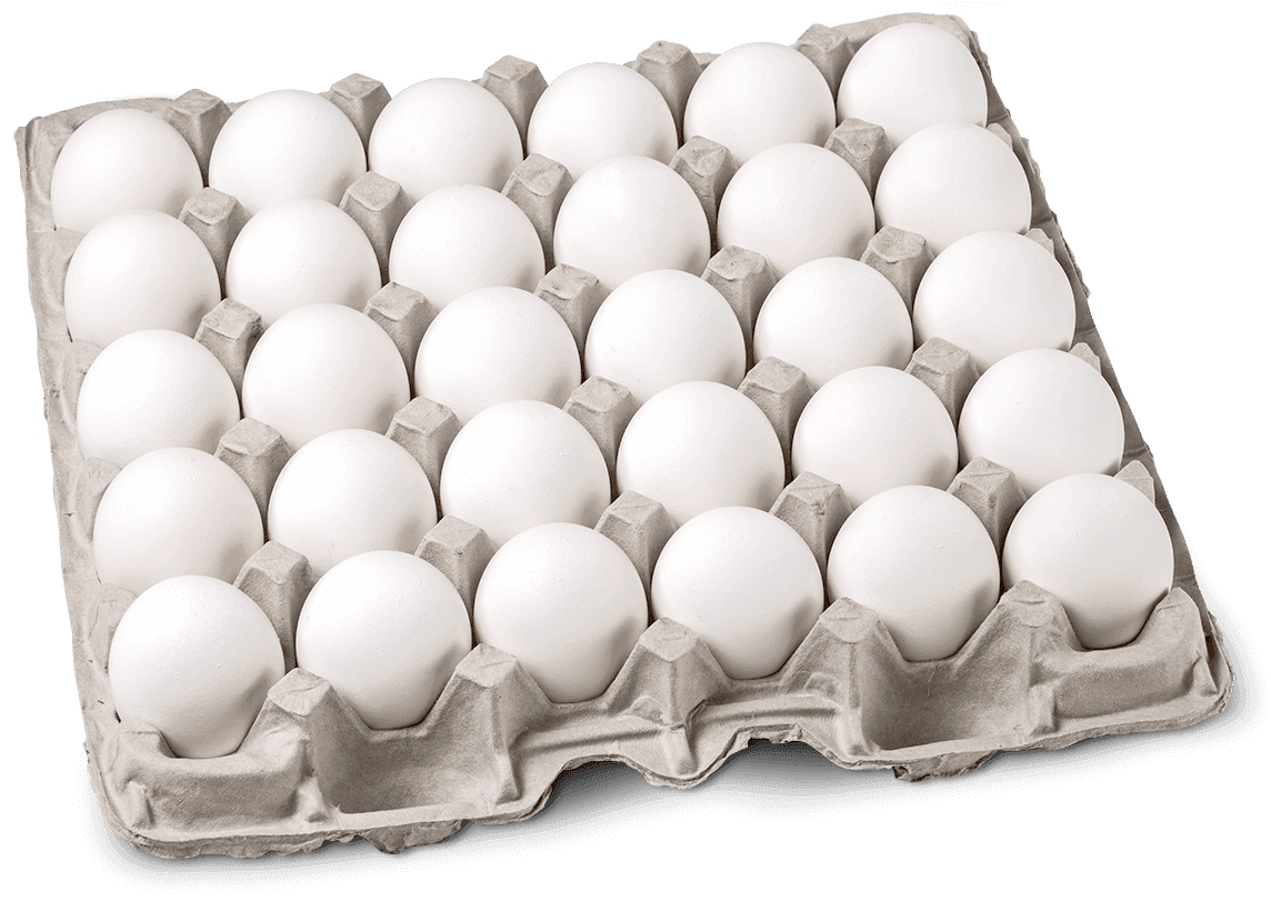 Morning Fresh Farms - Eggs Medium Grade A