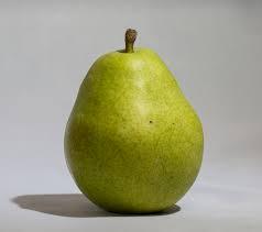 Anjou Pear