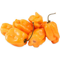 Chile Habanero Peppers