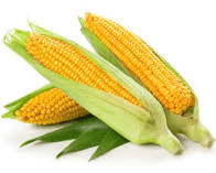 Whole Yellow Sweet Corn