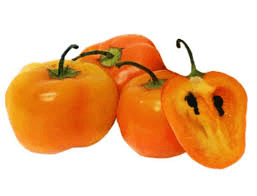 Chile Manzano Peppers
