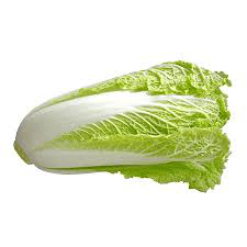 Mappa Celery Cabbage