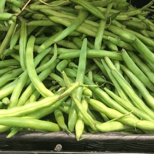 green snap beans